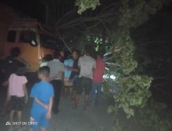 Pohon tumbang di Jl. Ahmad Yani, tidak ada Korban jiwa
