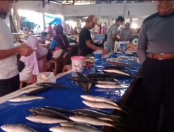 Harga ikan di Pasar Sentral Bonea Selayar tetap stabil saat Cuaca Buruk