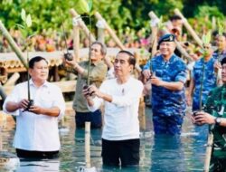 Tanam Mangrove Bersama, Presiden Jokowi Tekankan Pentingnya Jaga Hutan Mangrove