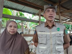 Hewan Kurban di Luwu Utara dapat pemeriksaan jelang Idul adha 1444 H