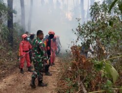 Dandim Maros Tinjau Langsung lokasi Kebakaran Lahan di Tompobulu