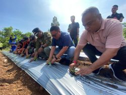 PJ Walikota Palopo kunjungi kelompok wanita tani di 4 kecamatan
