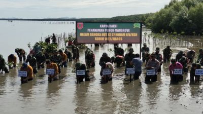 Kodim 1422/Maros Tanam pohon Mangrove Peringati HUT Kodam XIV/Hasanuddin Ke-67
