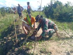 Karya Bakti TNI, Koramil 1403-09/Sabbang Tanam 220 Pohon