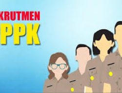 Keresahan Tenaga Kontrak Nakes, Guru, dan Dinas Pertanian Kabupaten Kepulauan Selayar: Tidak Ada Formasi PPPK 2024, BKD Belum Memberikan Tanggapan
