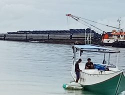 Karamnya Kapal Tongkang di Kepulauan Selayar: Ancaman bagi Habitat Laut dan Ekosistem Terumbu Karang