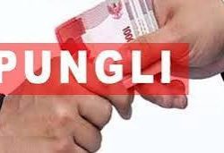 Dugaan Pungli Resahkan PPPK di Kabupaten Luwu Utara