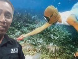 Perairan Takabonerate Kembali Jadi Sorotan Akibat Praktik Pembiusan Ikan Hidup
