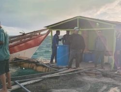 Aktivis Desak Buka Legalitas Pengusaha Ikan Hidup Yang Beroperasi di Kawasan Takabonerate