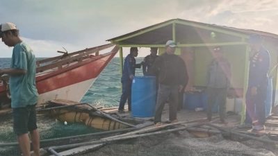 Aktivis Desak Buka Legalitas Pengusaha Ikan Hidup Yang Beroperasi di Kawasan Takabonerate