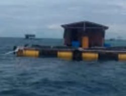 RAB Puluhan Juta Perlindungan Laut Takabonerate Beredar, Disebut Ditawarkan ke Pembeli Ikan Hidup