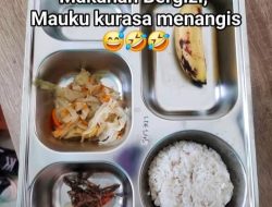 Miris! Program Makanan Bergizi Gratis di Pasimasunggu Hanya Berisi 5 Ekor Ikan Kering