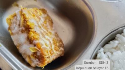 Kasus Tempe Berjamur di Dua Sekolah di  Selayar, Fakta atau Isu Liar?