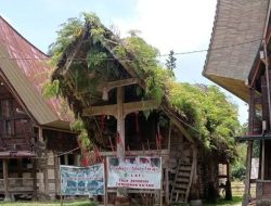 Tongkonan Ka’pun 300 Tahun Diratakan Saat Eksekusi, Warga Toraja Marah Besar: “Ini Perampasan Sejarah!”