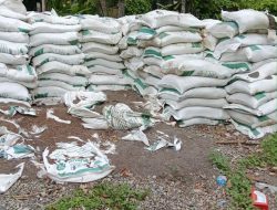 Program Gemerlap Selayar Diduga Gagal, Pupuk dan Bibit Terbengkalai