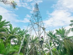 IOH Berhasil Cetak Pertumbuhan Pendapatan Kuat Sebesar Rp56,5 triliun