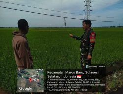 Babinsa Pallantikang Laksanakan Komsos dan Pantau Kondisi Pertanian Pasca Banjir