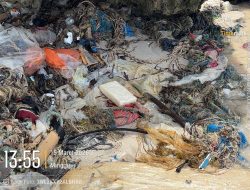 Lagi, Paket Diduga Kokain Terdampar di Pantai Selayar, Total Temuan Tembus 27,44 Kg