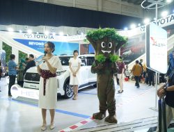 Masih Mendominasi, Kalla Toyota Kuasai 36 Persen Pasar Otomotif Sulawesi