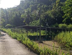 Panel Solar Cell Embung Rp10,5 Miliar di Bontotangnga Diduga Mubazir, Berdiri Tanpa Perangkat Pendukung Selama Hampir Empat Tahun