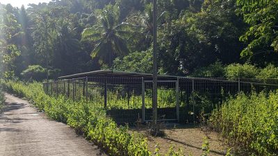 Panel Solar Cell Embung Rp10,5 Miliar di Bontotangnga Diduga Mubazir, Berdiri Tanpa Perangkat Pendukung Selama Hampir Empat Tahun