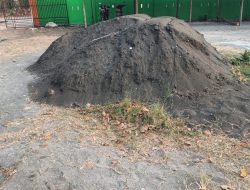 ‎Pasir Laut di Proyek SMPN Tanahbau Rp1,8 Miliar, Dugaan Afiliasi Pemasok Ilegal Mencuat