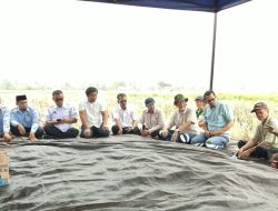 Dukung Petani Hadapi Kekeringan, MDA Dapat Apresiasi dari Dinas Pertanian Luwu